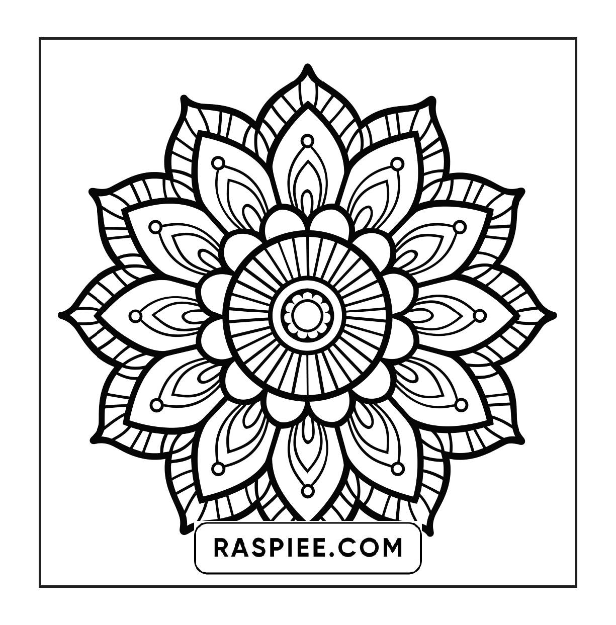 250 Mandala Adult Coloring Pages Vol.2