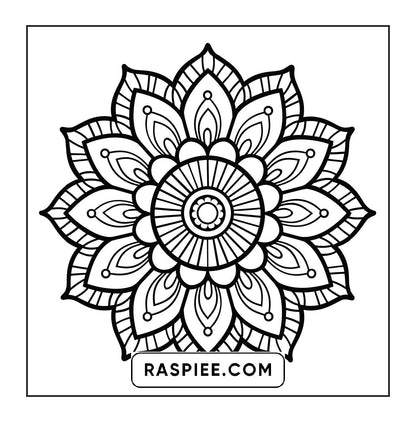 250 Mandala Adult Coloring Pages Vol.2