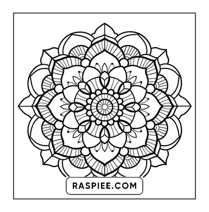 250 Mandala Adult Coloring Pages Vol.2