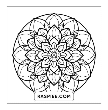 250 Mandala Adult Coloring Pages Vol.2