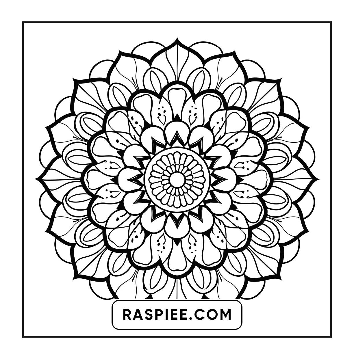 250 Mandala Adult Coloring Pages Vol.2