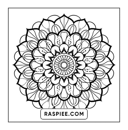 250 Mandala Adult Coloring Pages Vol.2