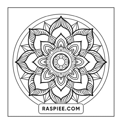250 Mandala Adult Coloring Pages Vol.2