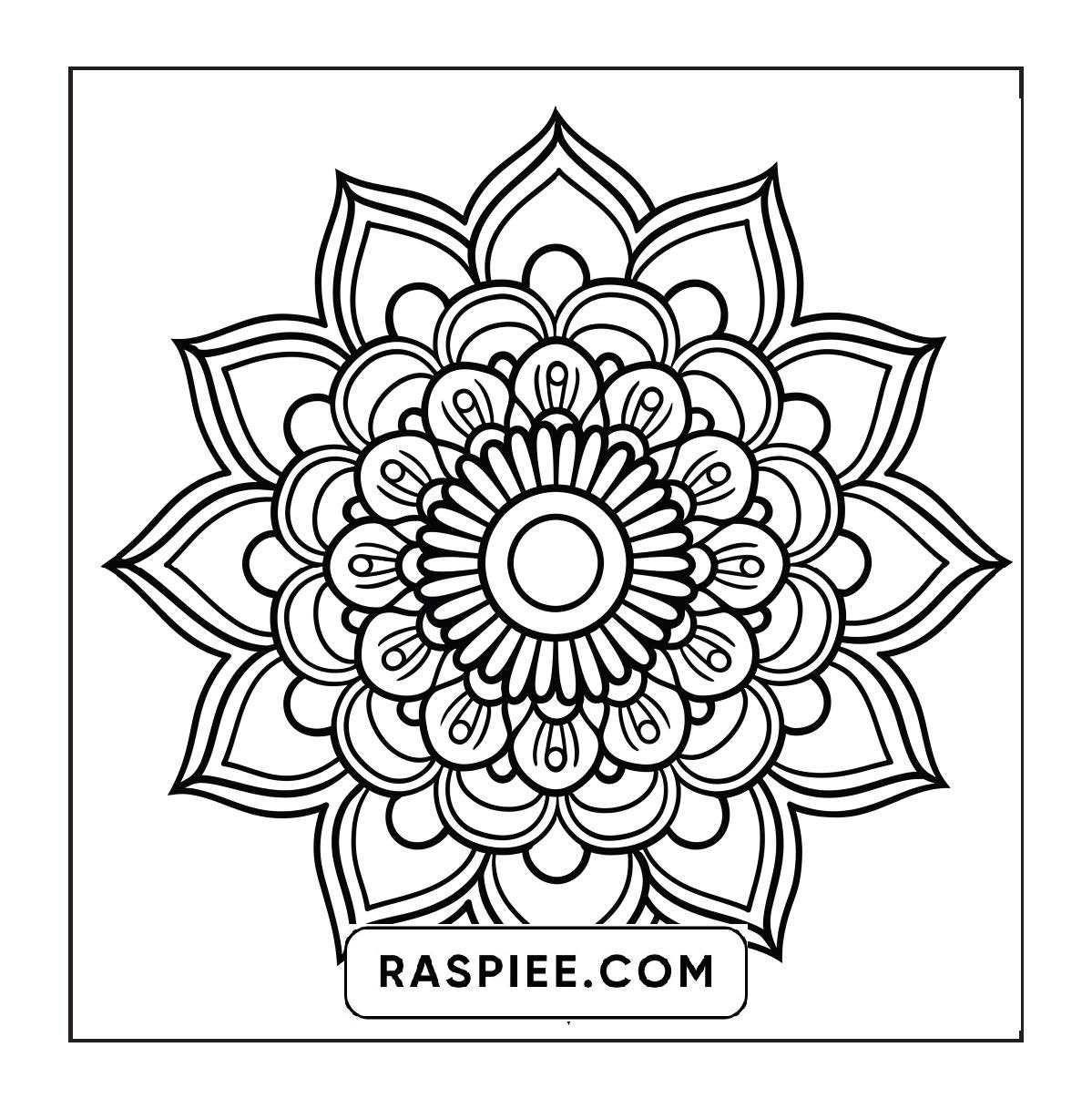 250 Mandala Adult Coloring Pages Vol.2