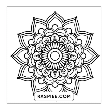 250 Mandala Adult Coloring Pages Vol.2