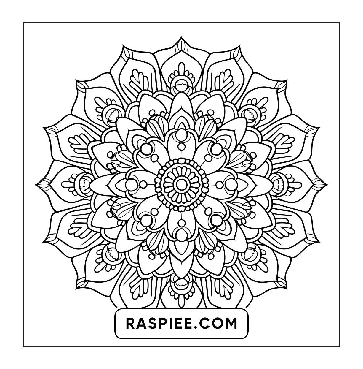 250 Mandala Adult Coloring Pages Vol.2