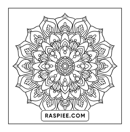250 Mandala Adult Coloring Pages Vol.2