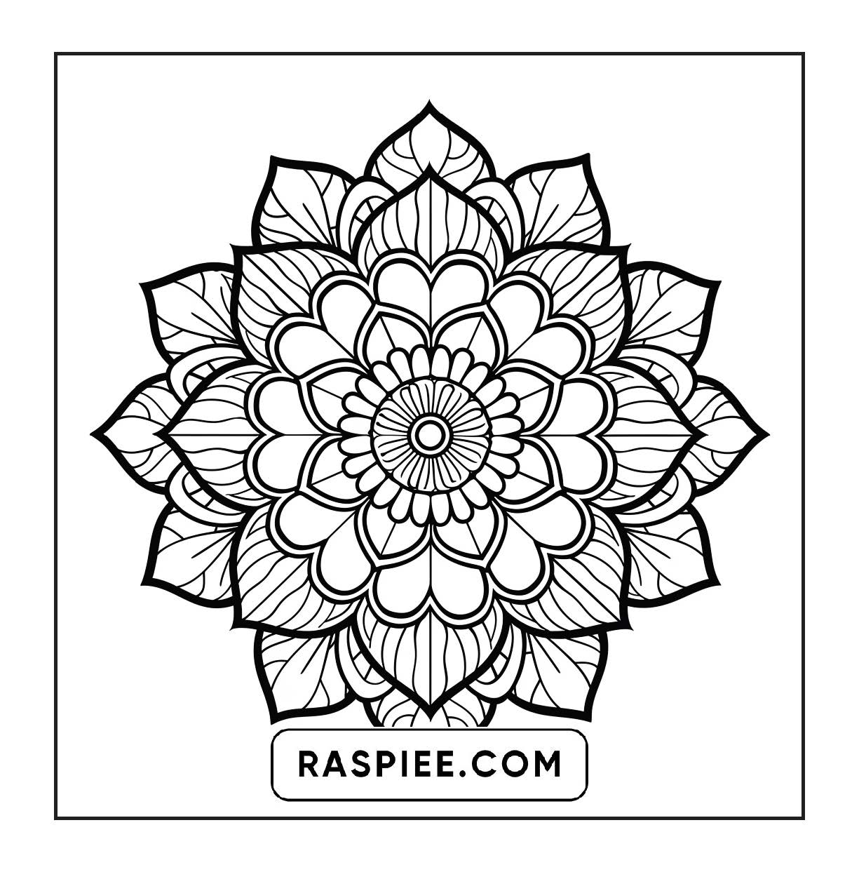 250 Mandala Adult Coloring Pages Vol.2