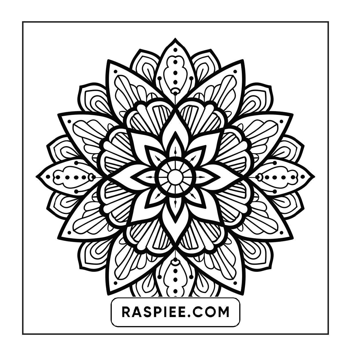 250 Mandala Adult Coloring Pages Vol.2