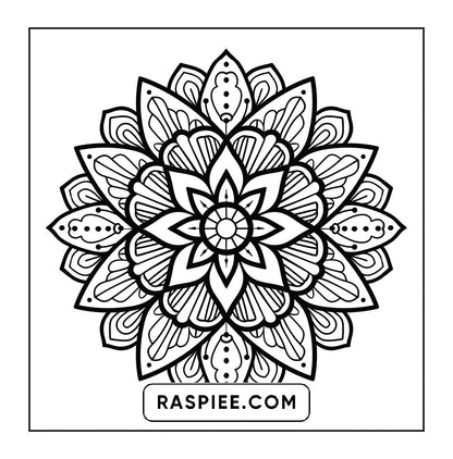 250 Mandala Adult Coloring Pages Vol.2
