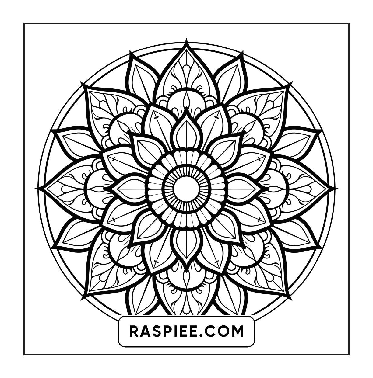 250 Mandala Adult Coloring Pages Vol.2