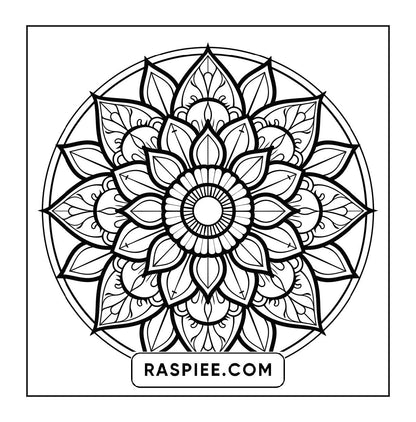 250 Mandala Adult Coloring Pages Vol.2