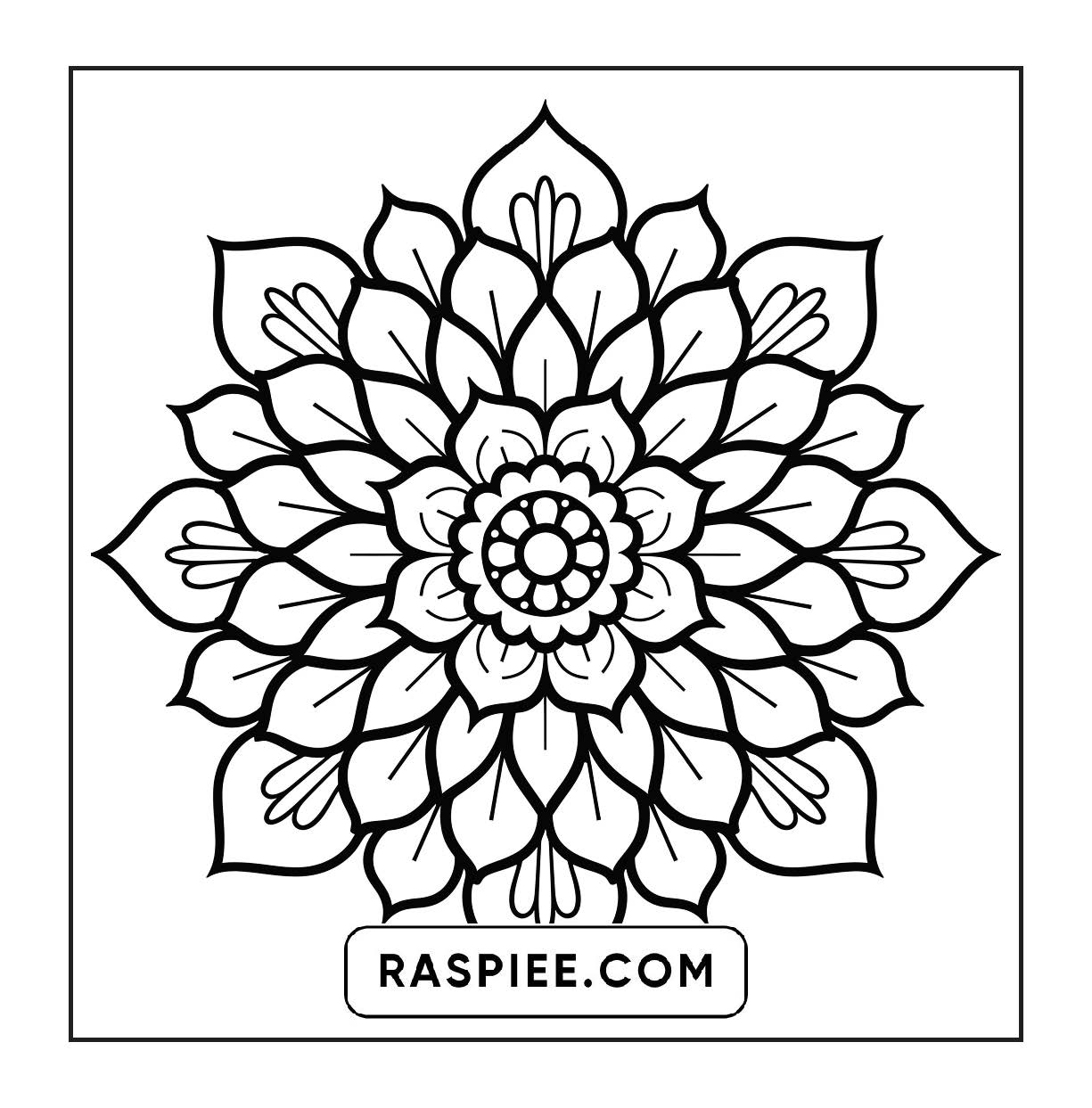 250 Mandala Adult Coloring Pages Vol.2