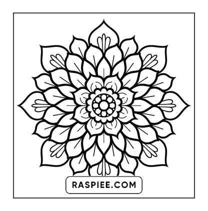 250 Mandala Adult Coloring Pages Vol.2