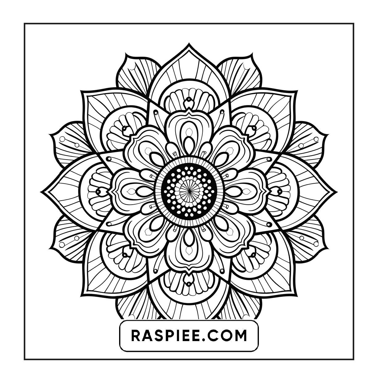 250 Mandala Adult Coloring Pages Vol.2