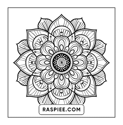 250 Mandala Adult Coloring Pages Vol.2