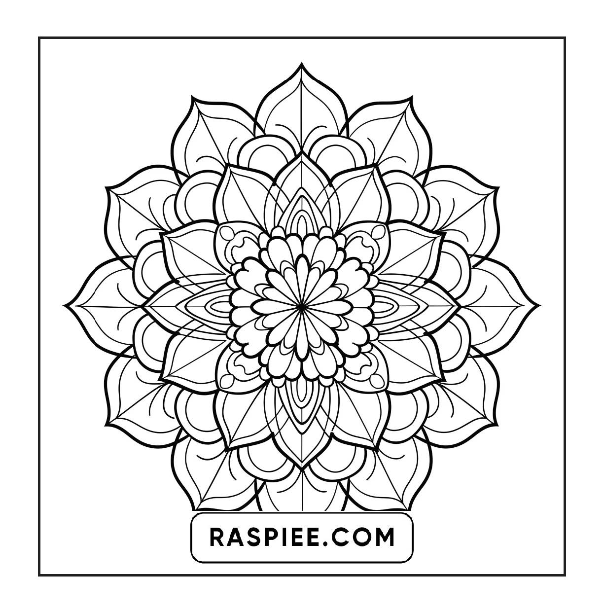 250 Mandala Adult Coloring Pages Vol.2