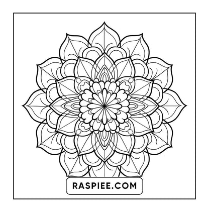 250 Mandala Adult Coloring Pages Vol.2