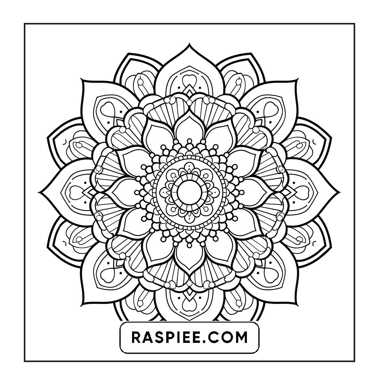 250 Mandala Adult Coloring Pages Vol.2