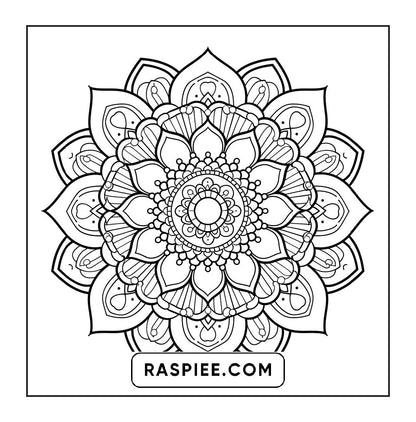 250 Mandala Adult Coloring Pages Vol.2