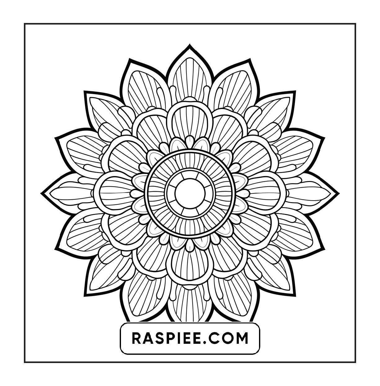 250 Mandala Adult Coloring Pages Vol.2