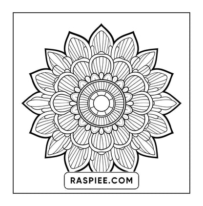 250 Mandala Adult Coloring Pages Vol.2