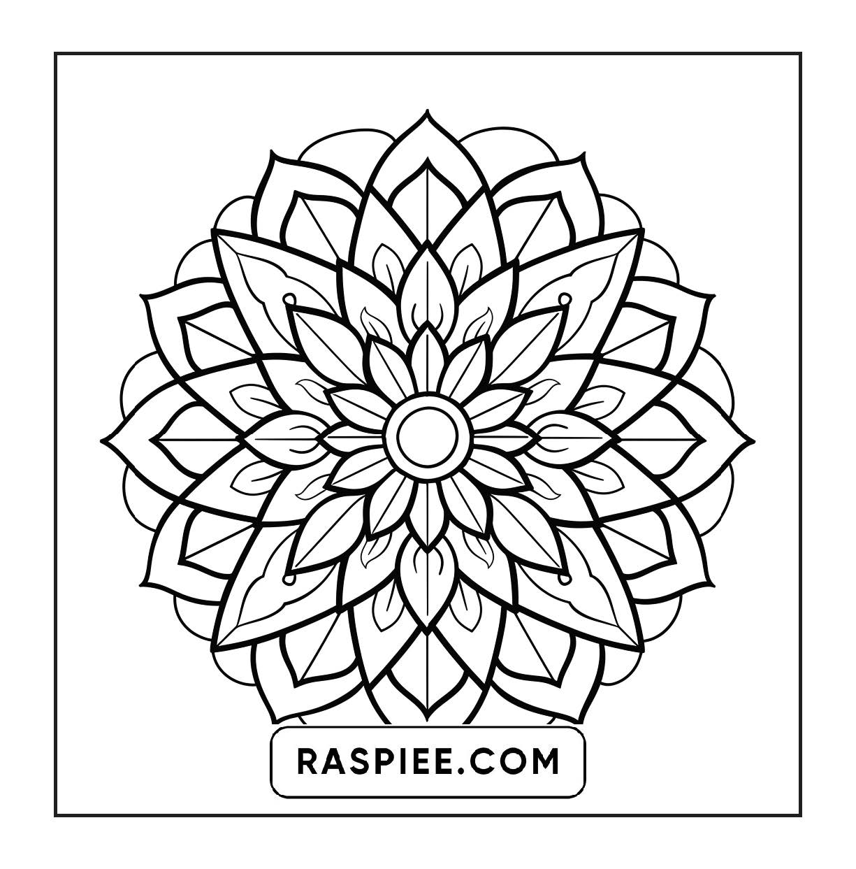 250 Mandala Adult Coloring Pages Vol.2