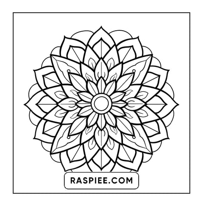 250 Mandala Adult Coloring Pages Vol.2