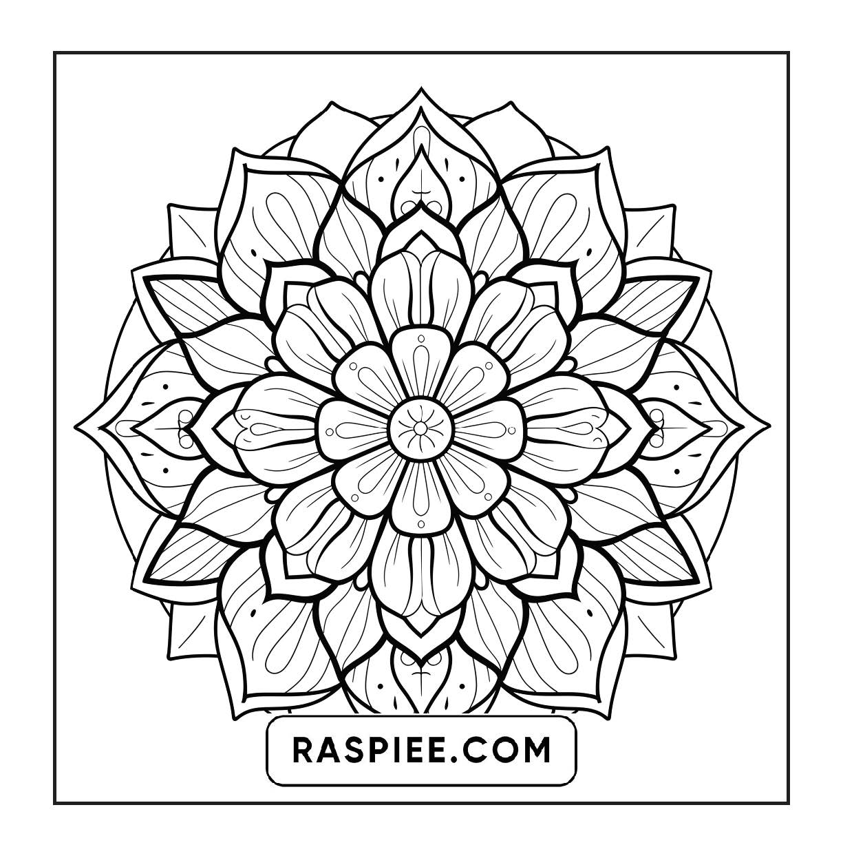 250 Mandala Adult Coloring Pages Vol.2