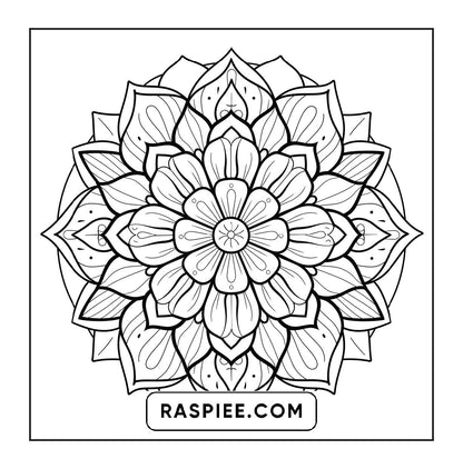 250 Mandala Adult Coloring Pages Vol.2