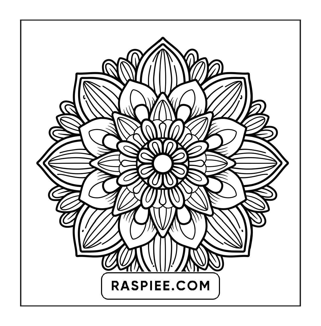250 Mandala Adult Coloring Pages Vol.2