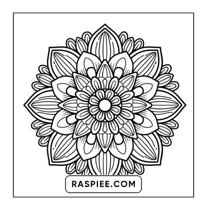 250 Mandala Adult Coloring Pages Vol.2