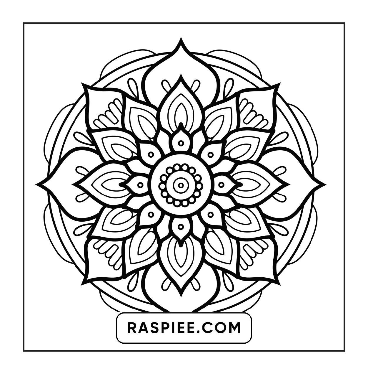 250 Mandala Adult Coloring Pages Vol.2