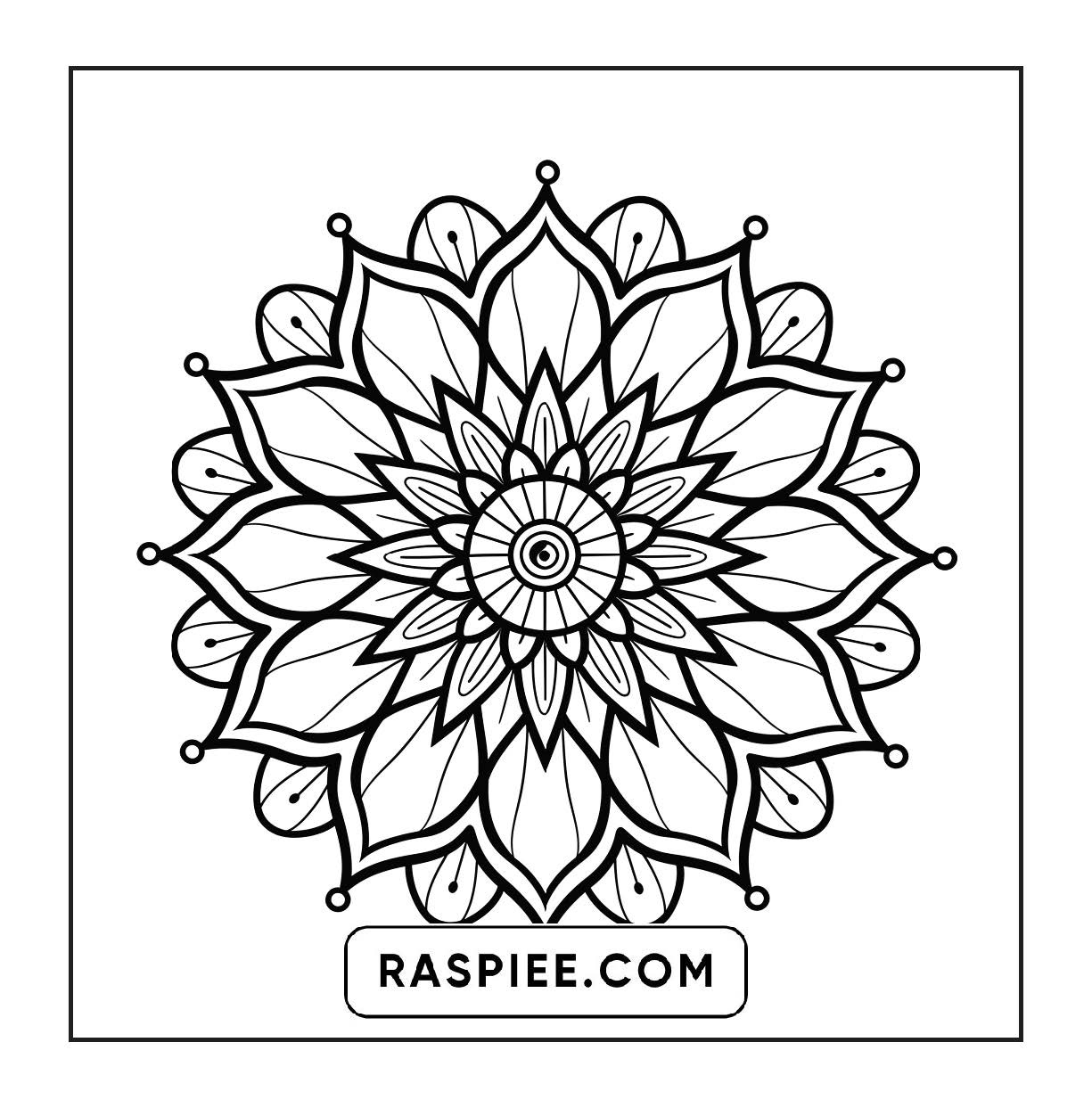 250 Mandala Adult Coloring Pages Vol.2