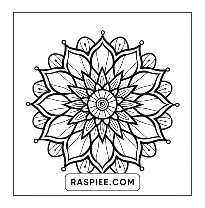250 Mandala Adult Coloring Pages Vol.2