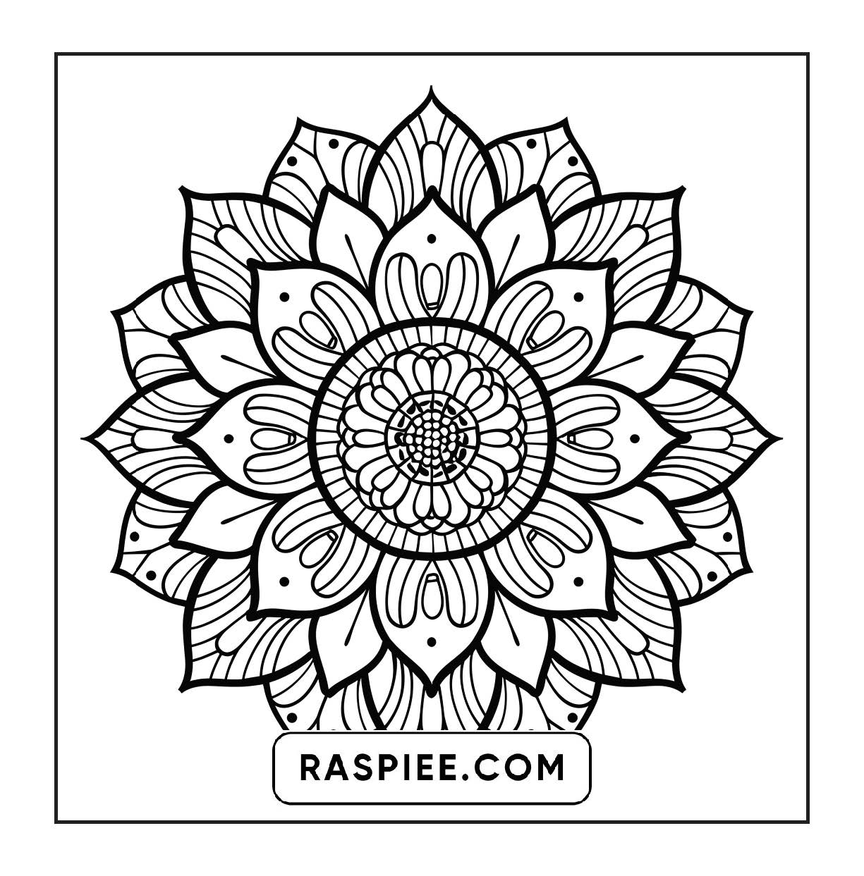 250 Mandala Adult Coloring Pages Vol.2