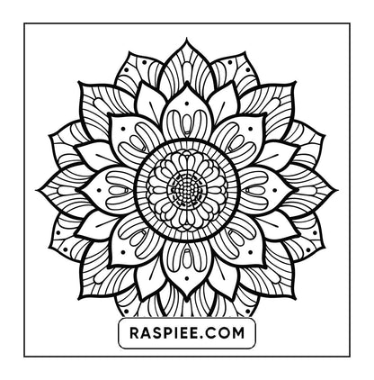 250 Mandala Adult Coloring Pages Vol.2