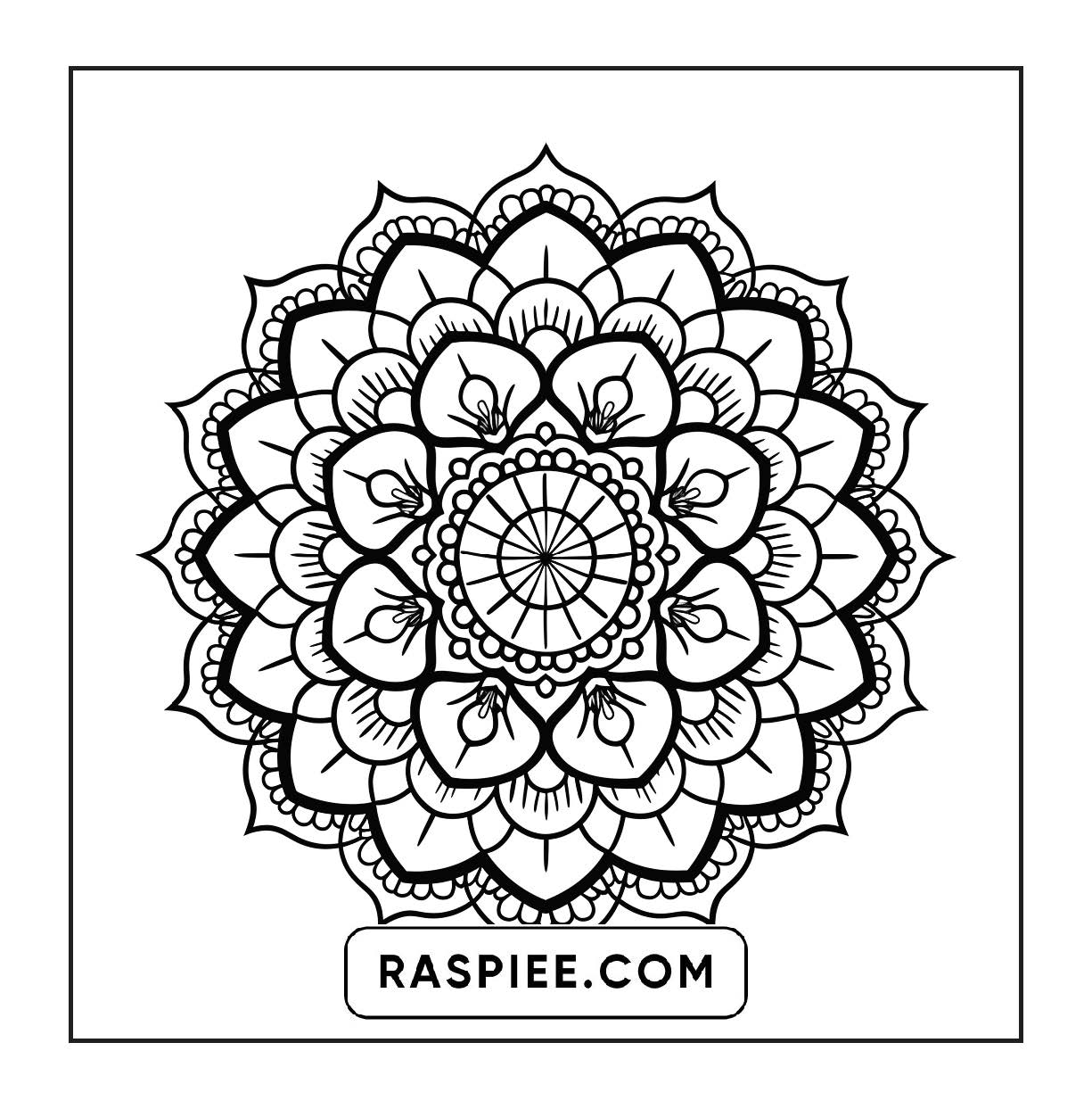 250 Mandala Adult Coloring Pages Vol.2