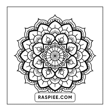 250 Mandala Adult Coloring Pages Vol.2
