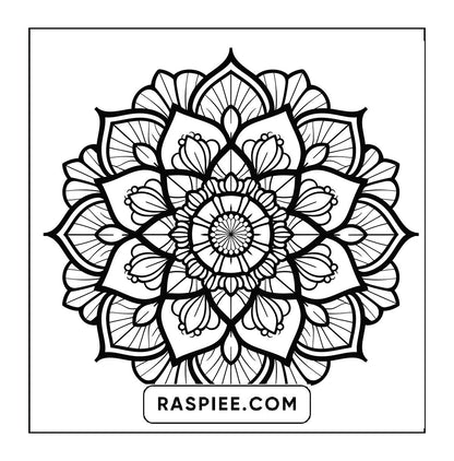 250 Mandala Adult Coloring Pages Vol.2