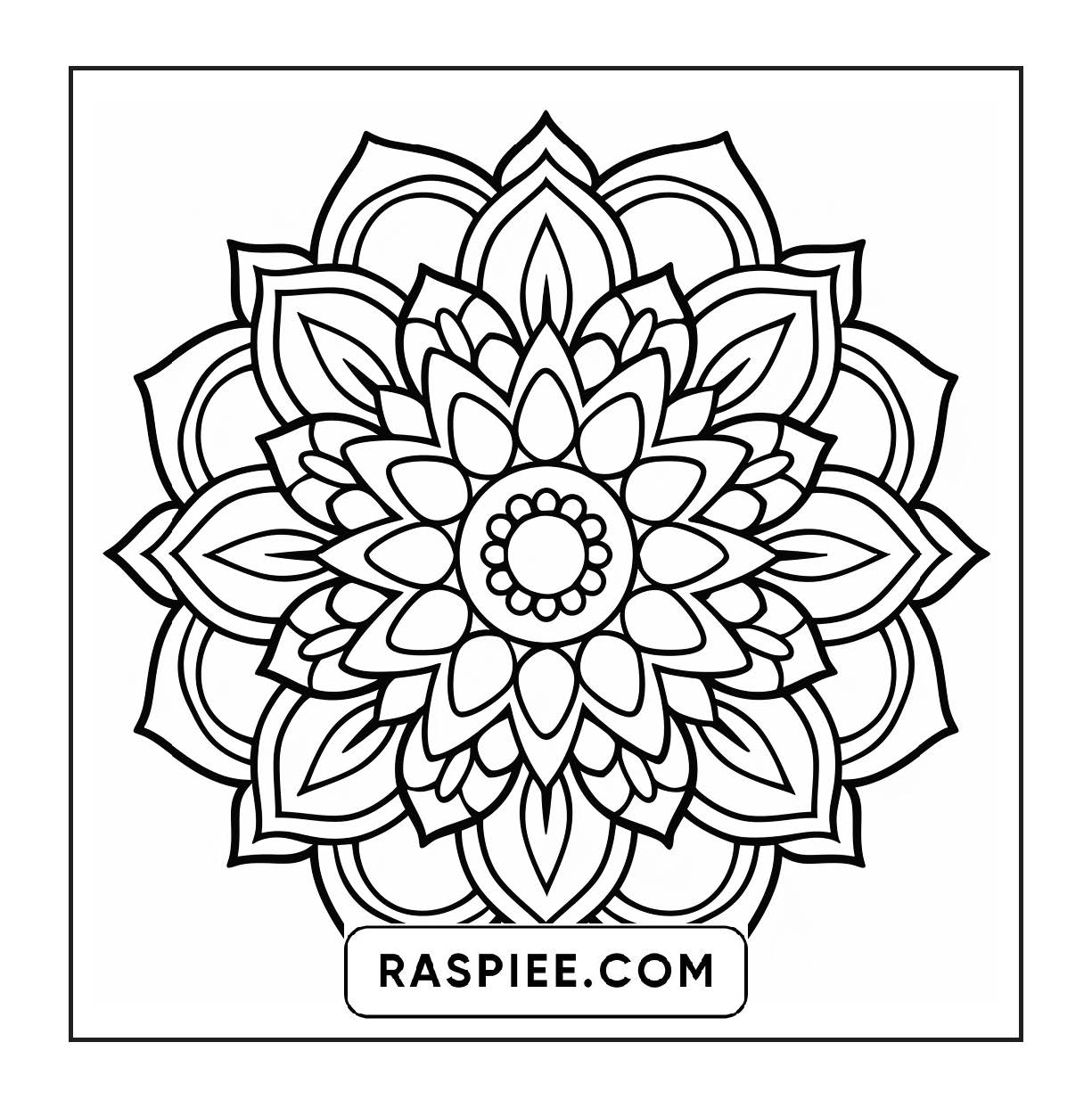 250 Mandala Adult Coloring Pages Vol.2
