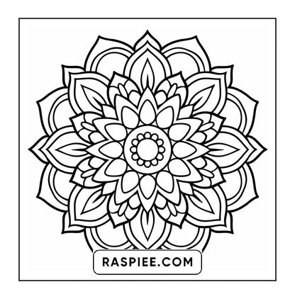 250 Mandala Adult Coloring Pages Vol.2