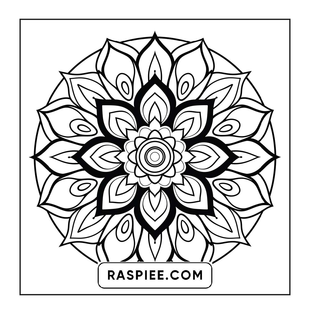 250 Mandala Adult Coloring Pages Vol.2