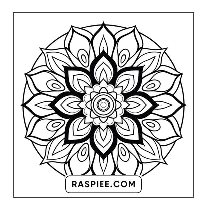 250 Mandala Adult Coloring Pages Vol.2