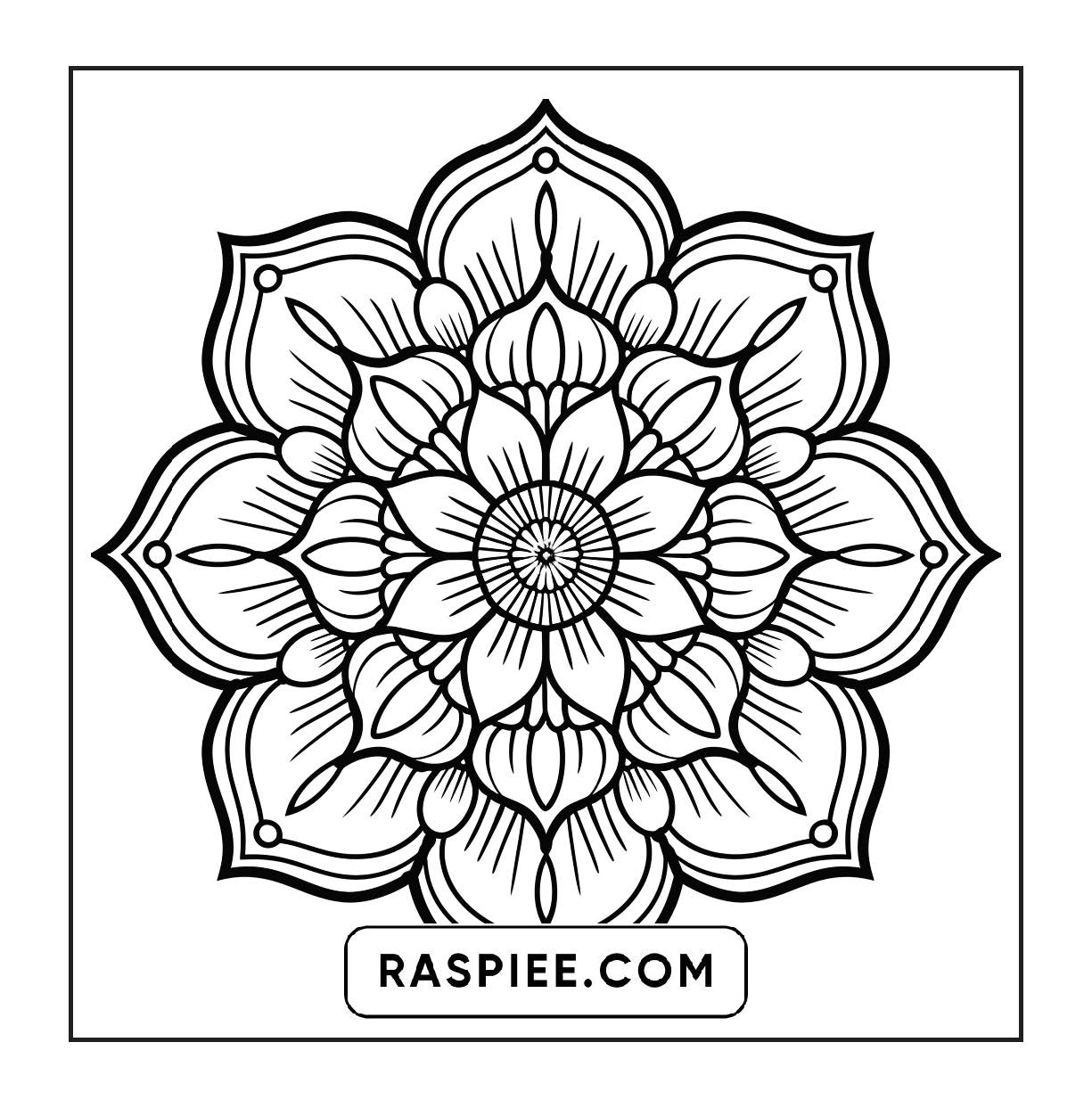 250 Mandala Adult Coloring Pages Vol.2