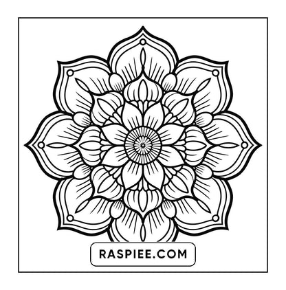 250 Mandala Adult Coloring Pages Vol.2