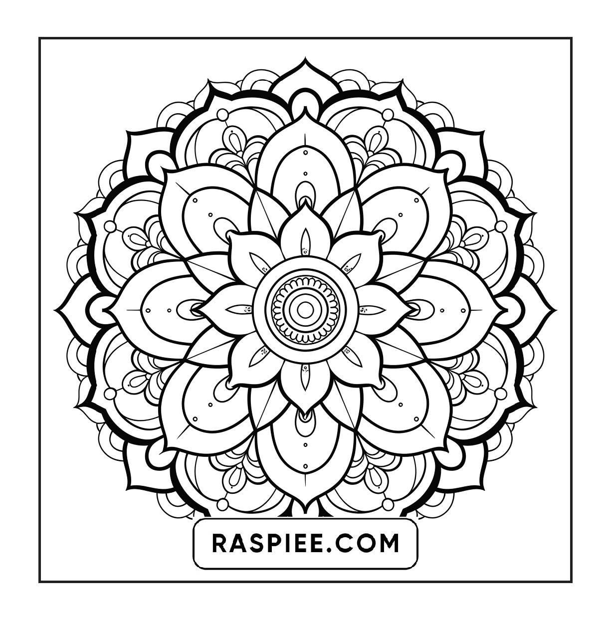 250 Mandala Adult Coloring Pages Vol.2
