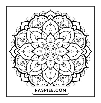 250 Mandala Adult Coloring Pages Vol.2