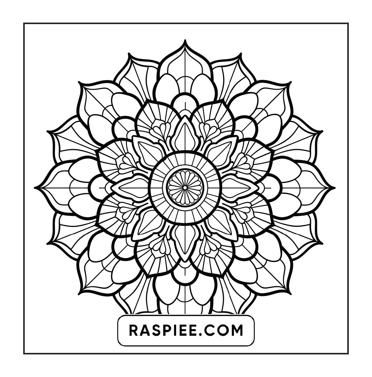 250 Mandala Adult Coloring Pages Vol.2