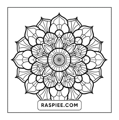 250 Mandala Adult Coloring Pages Vol.2